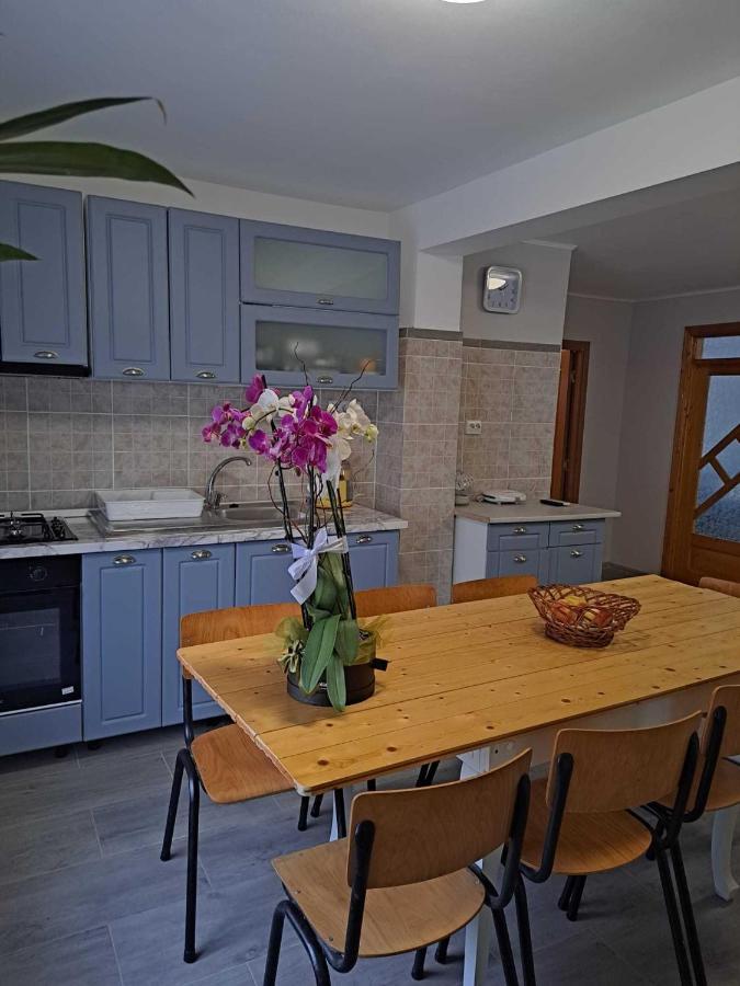 Muzicii 11 - Cozy Seaside Apartments Năvodari Zewnętrze zdjęcie