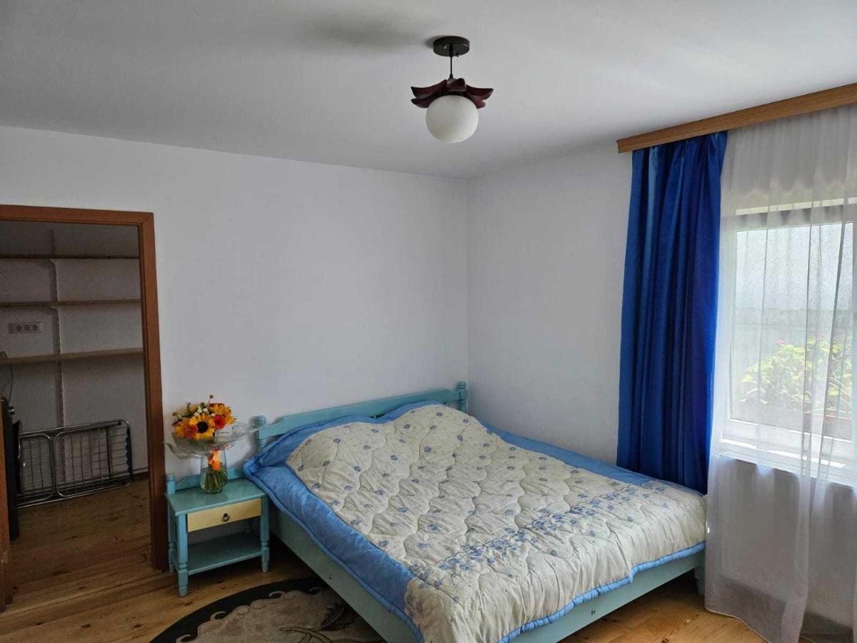 Muzicii 11 - Cozy Seaside Apartments Năvodari Zewnętrze zdjęcie